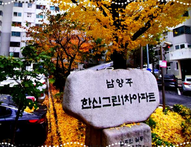 남양주 진건읍 방충망 시공